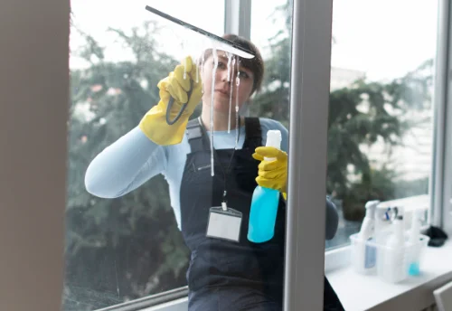 Nettoyage de vitres intérieures et extérieures à Quarré-les-Tombes